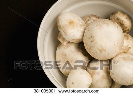 Close-up of mushrooms in a bowl View Large Photo Image Stock Image - Close-up of mushrooms in a bowl. Fotosearch