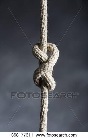 Close-up of ropes with reef knot View Large Photo Image Stock Image - Close-up of ropes with reef knot. Fotosearch