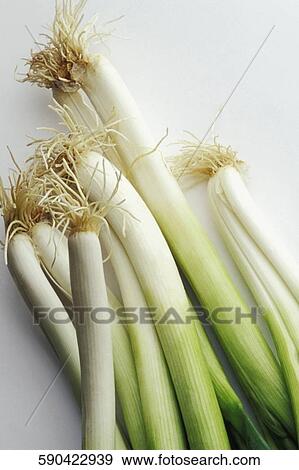 Close-up of spring onions View Large Photo Image Stock Photo - Close-up of spring onions. Fotosearch