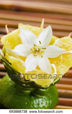 Stock Photo - Close-up of tart. Fotosearch