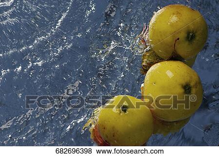 Close-up of three guavas in water View Large Photo Image Stock Photo - Close-up of three guavas in water. Fotosearch