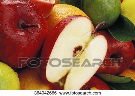 Close-up of various type of fruits View Large Photo Image Stock Photograph - Close-up of various type of fruits. Fotosearch