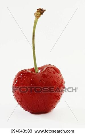 Close-up of water drops on a cherry View Large Photo Image Stock Image - Close-up of water drops on a cherry. Fotosearch