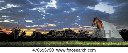 Clouds over the field View Large Photo Image Stock Image - Clouds over the field. Fotosearch