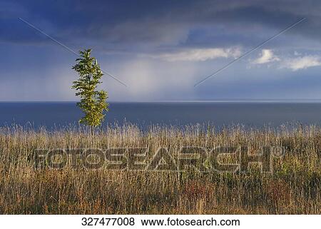 Clouds over the sea View Large Photo Image Stock Photo - Clouds over the sea. Fotosearch