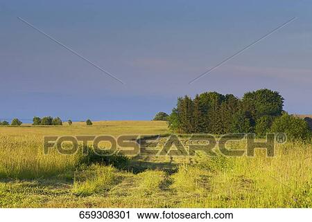 Crop in fields View Large Photo Image Stock Image - Crop in fields. Fotosearch