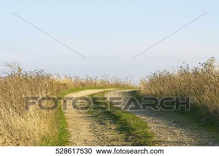 Stock Image - Dirt road passing through a landscape. Fotosearch
