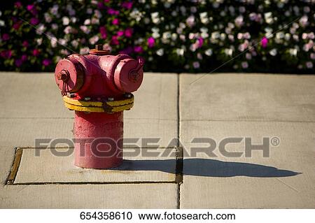 Stock Image - Fire hydrant in a garden, Boys Town, Chicago, Illinois, USA. Fotosearch