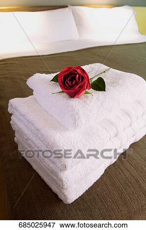 Flower on a stack of towels View Large Photo Image Stock Photo - Flower on a stack of towels. Fotosearch