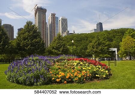 Stock Image - Flowers in a garden with skyscrapers in the background, Navy Pier, Chicago, Illinois, USA. Fotosearch