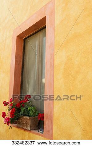 Flowers in a window box, Siena Province, Tuscany, Italy View Large Photo Image Stock Photo - Flowers in a window box, Siena Province, Tuscany, Italy. Fotosearch