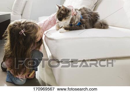 Girl stroking a cat View Large Photo Image Stock Photo - Girl stroking a cat. Fotosearch