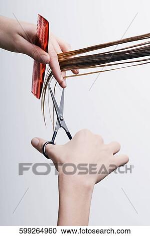 Hairdresser cutting the hair of a person View Large Photo Image Stock Image - Hairdresser cutting the hair of a person. Fotosearch