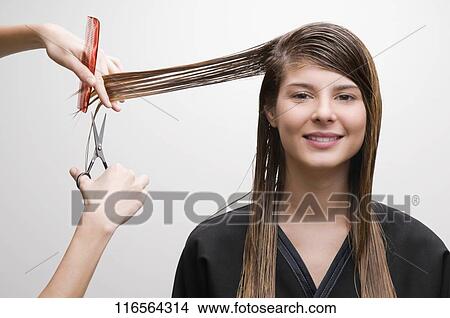 Picture - Hairdresser cutting the hair of a young woman. Fotosearch