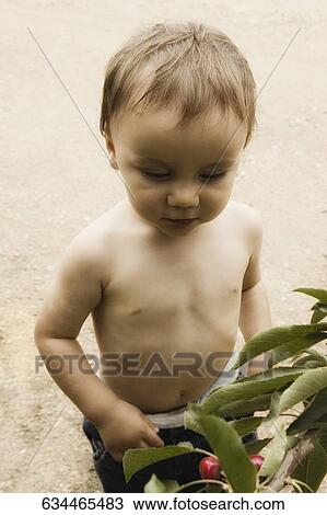 High angle view of a boy looking at fruits on a branch View Large Photo Image Stock Image - High angle view of a boy looking at fruits on a branch. Fotosearch