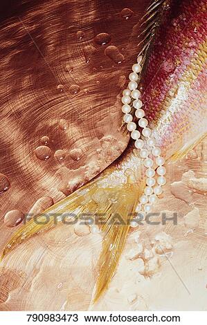 High angle view of a necklace with a dead fish View Large Photo Image Stock Image - High angle view of a necklace with a dead fish. Fotosearch