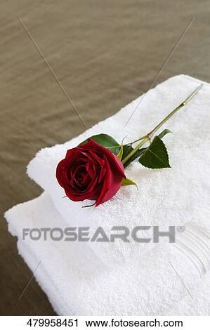 High angle view of a rose on the stack of towels View Large Photo Image Stock Image - High angle view of a rose on the stack of towels. Fotosearch