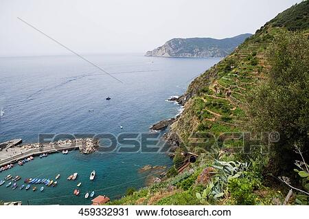 High angle view of boats docked at harbor, Il Porticciolo, Italian Riviera, Cinque Terre National Park, Vernazza, La Spezia, Liguria, Italy View Large Photo Image Stock Image - High angle view of boats docked at harbor, Il Porticciolo, Italian Riviera, Cinque Terre National Park, Vernazza, La Spezia, Liguria, Italy. Fotosearch