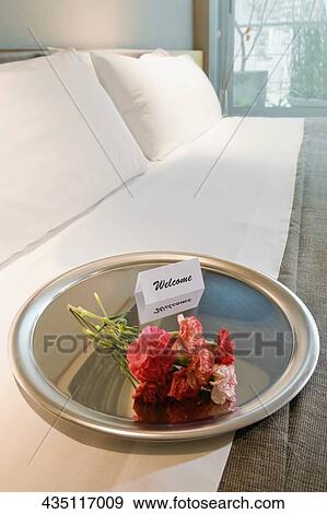 High angle view of flowers with a welcome note in a plate View Large Photo Image Stock Photo - High angle view of flowers with a welcome note in a plate. Fotosearch