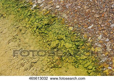 High angle view of pebbles on the coast View Large Photo Image Stock Image - High angle view of pebbles on the coast. Fotosearch