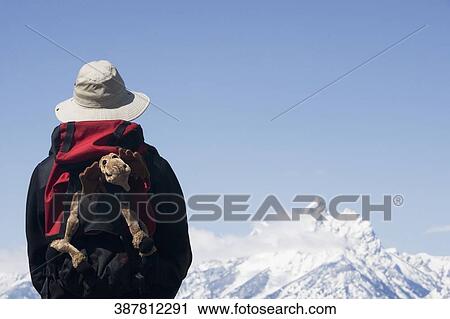 Hiker looking at snow covered mountains, Grand Teton National Park, Wyoming, USA View Large Photo Image Stock Image - Hiker looking at snow covered mountains, Grand Teton National Park, Wyoming, USA. Fotosearch