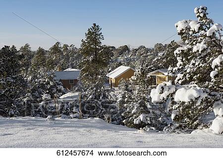 Picture - Houses and trees covered with snow. Fotosearch
