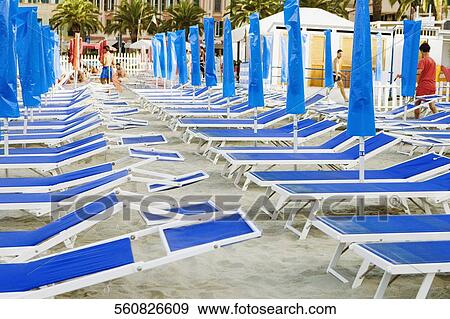 Lounge chairs on the beach, Italian Riviera, Santa Margherita Ligure, Genoa, Liguria, Italy View Large Photo Image Stock Photo - Lounge chairs on the beach, Italian Riviera, Santa Margherita Ligure, Genoa, Liguria, Italy. Fotosearch