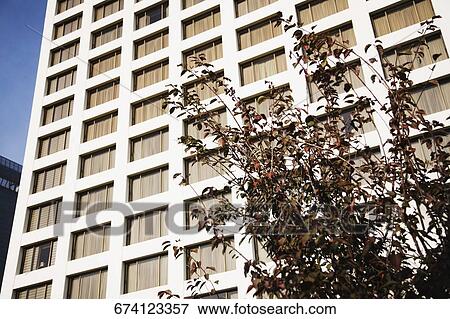 Low angle view of a building View Large Photo Image Stock Photo - Low angle view of a building. Fotosearch