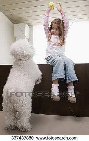 Stock Image - Low angle view of a girl playing with a dog. Fotosearch