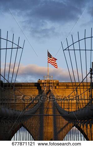 Low angle view of an American flag fluttering on a bridge, Brooklyn Bridge, New York City, New York State, USA View Large Photo Image Stock Image - Low angle view of an American flag fluttering on a bridge, Brooklyn Bridge, New York City, New York State, USA. Fotosearch