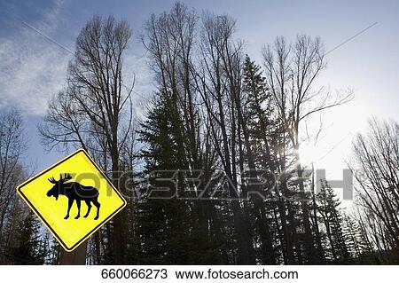 Low angle view of an Animal Crossing Sign in a forest, Grand Teton National Park, Wyoming, USA View Large Photo Image Stock Image - Low angle view of an Animal Crossing Sign in a forest, Grand Teton National Park, Wyoming, USA. Fotosearch