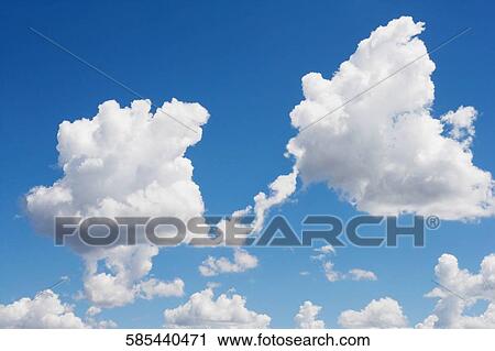 Low angle view of cumulus clouds in the sky View Large Photo Image Stock Image - Low angle view of cumulus clouds in the sky. Fotosearch
