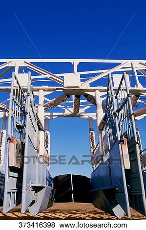 Stock Photo - Low angle view of empty starting gates at a horseracing track. Fotosearch