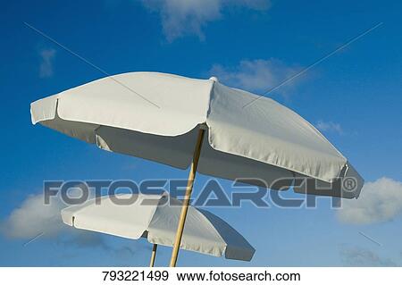 Low angle view of two beach umbrellas, Miami Beach, Florida, USA View Large Photo Image Stock Photo - Low angle view of two beach umbrellas, Miami Beach, Florida, USA. Fotosearch