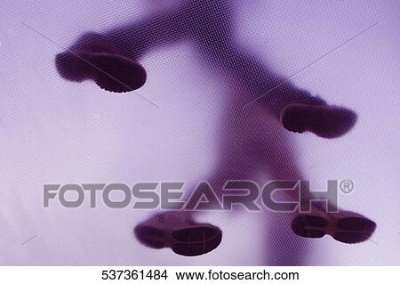 Low angle view of two people walking on a glass bridge, Fifth Avenue, Manhattan, New York City, New York State, USA View Large Photo Image Picture - Low angle view of two people walking on a glass bridge, Fifth Avenue, Manhattan, New York City, New York State, USA. Fotosearch