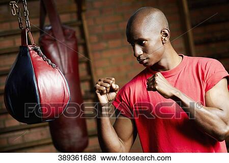Male boxer practicing with a punching bag View Large Photo Image Stock Photo - Male boxer practicing with a punching bag. Fotosearch