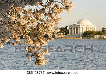 Stock Photo - Memorial at the waterfront, Jefferson Memorial, Potomac River, West Potomac Park, Washington DC, USA. Fotosearch
