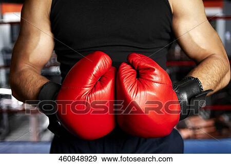 Mid section view of a male boxer wearing boxing gloves View Large Photo Image Stock Photo - Mid section view of a male boxer wearing boxing gloves. Fotosearch