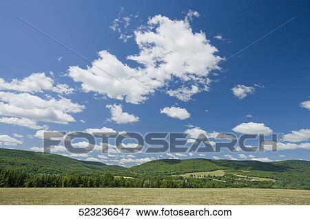 Panoramic view of a landscape View Large Photo Image Stock Photo - Panoramic view of a landscape. Fotosearch
