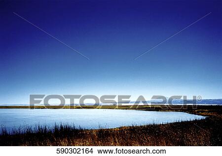 Panoramic view of a river, Atacama Desert, Chile View Large Photo Image Picture - Panoramic view of a river, Atacama Desert, Chile. Fotosearch