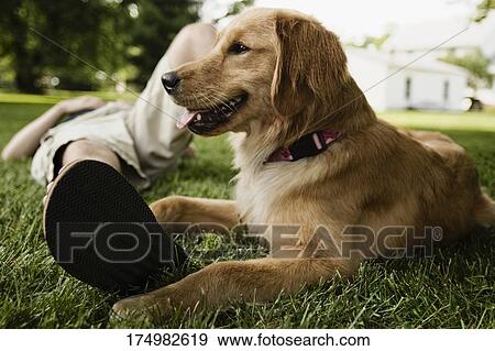 Person lying on grass with a dog sitting beside him View Large Photo Image Stock Photo - Person lying on grass with a dog sitting beside him. Fotosearch