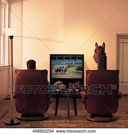 Picture - Rear view of a man and a horse sitting in armchairs and watching television. Fotosearch
