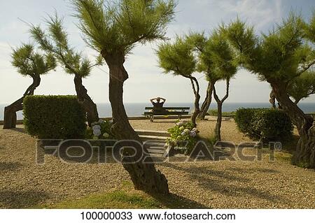 Rear view of a person sitting on a bench in a garden, St. Martin, Biarritz, France View Large Photo Image Stock Image - Rear view of a person sitting on a bench in a garden, St. Martin, Biarritz, France. Fotosearch