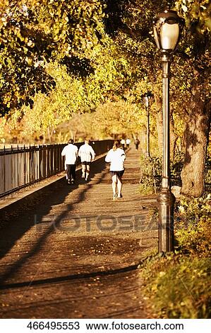 Rear view of a woman and two men running on a walkway View Large Photo Image Stock Image - Rear view of a woman and two men running on a walkway. Fotosearch