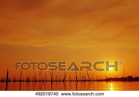 Reflection of sun in the sea View Large Photo Image Stock Image - Reflection of sun in the sea. Fotosearch