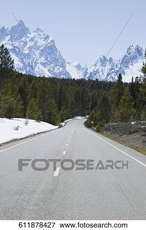 Stock Photo - Road passing through a forest with mountains in the background, Grand Teton National Park, Wyoming, USA. Fotosearch