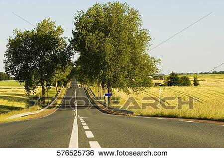 Road passing through a landscape, Loire Valley, France View Large Photo Image Stock Photograph - Road passing through a landscape, Loire Valley, France. Fotosearch