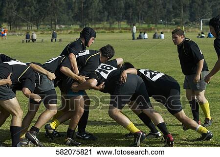 Rugby players forming scrum in a field View Large Photo Image Stock Image - Rugby players forming scrum in a field. Fotosearch