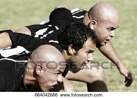Rugby players forming scrum in a field View Large Photo Image Stock Photograph - Rugby players forming scrum in a field. Fotosearch