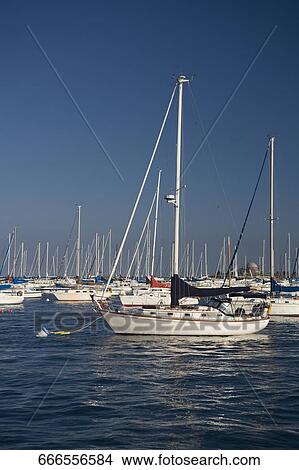Sailboats in a lake, Lake Michigan, Chicago, Illinois, USA View Large Photo Image Picture - Sailboats in a lake, Lake Michigan, Chicago, Illinois, USA. Fotosearch